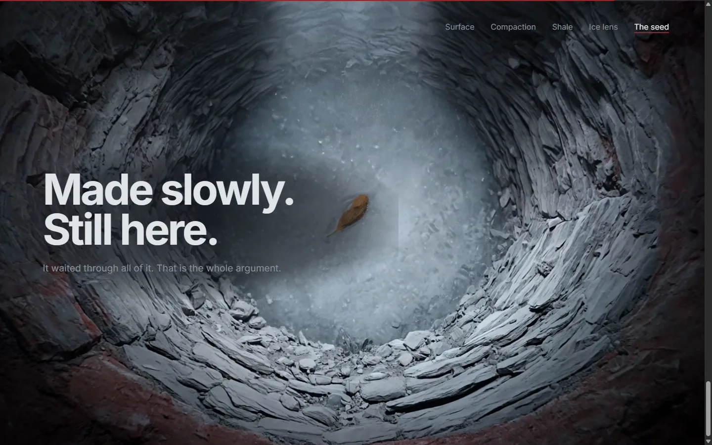 The seed — made slowly, still here.